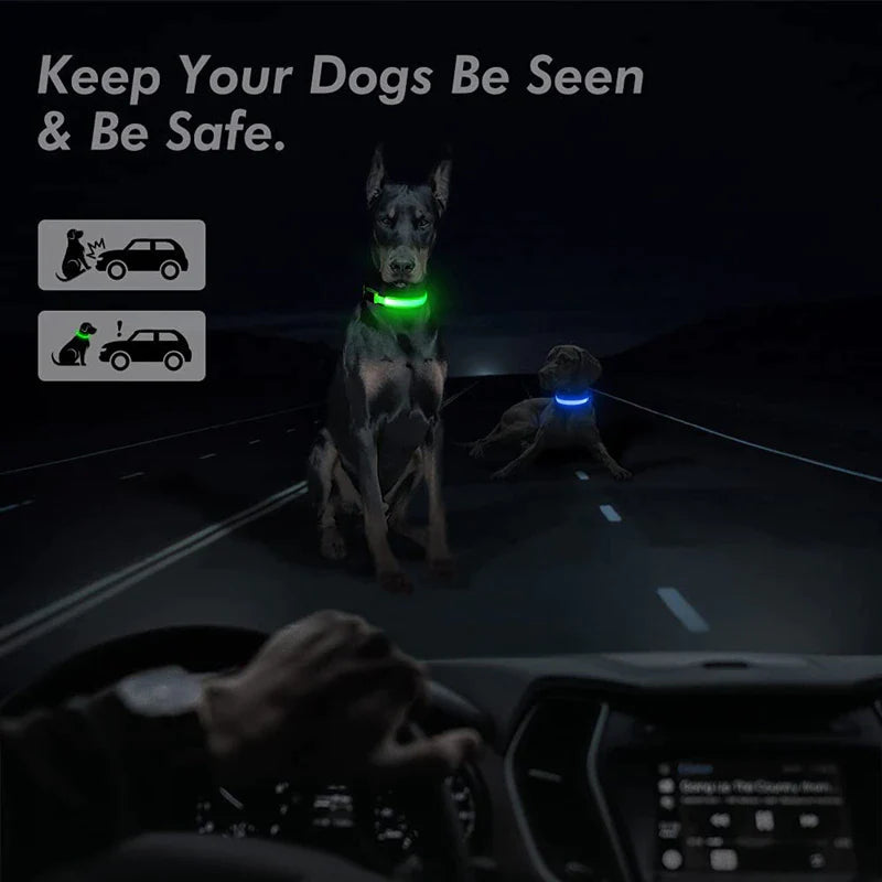 GlowSafe LED Dog Collar - Adjustable, Waterproof & Flashing for Pet Safety
