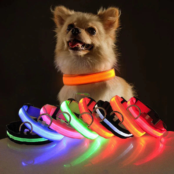 GlowSafe LED Dog Collar - Adjustable, Waterproof & Flashing for Pet Safety